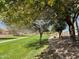 Lush community park with mature trees and manicured lawns at 3807 E Latham Ct, Gilbert, AZ 85297