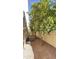 Narrow side yard with dwarf fruit trees and gravel bed next to the exterior wall at 3807 E Latham Ct, Gilbert, AZ 85297