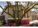 Attractive single-story home with desert landscaping and a lovely green tree at 42207 N 45Th Dr, Phoenix, AZ 85086