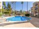 Community pool and lounging area with mature palm trees providing shade at 5122 N 31St Way # 238, Phoenix, AZ 85016