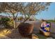 Landscaped front yard featuring a custom rock waterfall and mature desert vegetation at 6513 S Fairway Dr, Gold Canyon, AZ 85118