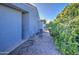 Exterior side view showing blue textured walls, greenery, and HVAC, creating a functional and visually appealing space at 654 S 83Rd Way, Mesa, AZ 85208