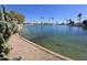 Picturesque waterfront view with palm trees and a walking path, adding to the beauty of the community at 654 S 83Rd Way, Mesa, AZ 85208