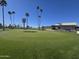 Well-maintained putting green with palm trees, offering a perfect spot for golf enthusiasts at 654 S 83Rd Way, Mesa, AZ 85208