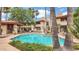 Community pool with covered seating area, surrounded by palm trees and lush landscaping at 10410 N Cave Creek Rd # 2114, Phoenix, AZ 85020