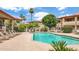 Relaxing community pool area with lounge chairs and well-maintained landscaping under sunny skies at 10410 N Cave Creek Rd # 2114, Phoenix, AZ 85020