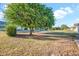 Spacious backyard featuring lush greenery, an orange tree and ample space for outdoor activities at 10414 N 105Th Ave, Sun City, AZ 85351