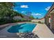 Backyard view showcasing the sparkling pool with surrounding lush landscaping and privacy wall at 16018 N 17Th Way, Phoenix, AZ 85022