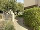 Beautifully landscaped walkway, providing a serene path through the community grounds at 1747 E Northern E Ave # 166, Phoenix, AZ 85020