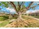 Charming community area with a classic wooden swing hanging from a large shade tree at 2048 W Elm St, Phoenix, AZ 85015