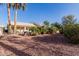 Charming backyard with desert landscaping, palm trees, and partial view of the home at 26242 S Thistle Ln, Sun Lakes, AZ 85248