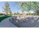 Beautifully landscaped community with walking paths, mature trees, and desert-friendly vegetation at 26242 S Thistle Ln, Sun Lakes, AZ 85248