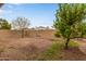 Backyard featuring a concrete block wall, grass and small trees at 3613 W Camino Real --, Glendale, AZ 85310