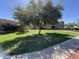 Well-maintained green spaces and mature trees create a peaceful setting for this community at 3825 E Camelback Rd # 292, Phoenix, AZ 85018