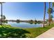 Beautiful pond surrounded by grass and palm trees and homes in the distance at 3830 E Lakewood Pkwy # 2116, Phoenix, AZ 85048