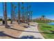 Paved walking path along the lake with covered picnic areas and palm trees at 11318 S Hopi Dr, Goodyear, AZ 85338