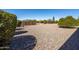 Rear yard with mature greenery, rock beds, and desert landscaping at 13202 N 98Th Dr, Sun City, AZ 85351