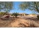 Expansive backyard with desert landscaping, mature trees, patio, and views of the surrounding neighborhood at 14507 W Christy Dr, Surprise, AZ 85379