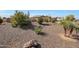 Landscaped front yard showcasing desert plants, gravel ground cover, and mature landscaping in a suburban setting at 14507 W Christy Dr, Surprise, AZ 85379