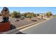Landscaped front yard featuring desert plants, gravel ground cover, and a large lion statue at the entrance at 14507 W Christy Dr, Surprise, AZ 85379