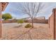 Spacious backyard featuring rock landscaping, mature trees, and block fencing for privacy at 1629 E Prickly Pear Pl, Casa Grande, AZ 85122