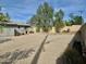 Expansive backyard with gravel ground cover and mature trees at 1803 W 6Th St, Mesa, AZ 85201