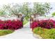 Welcoming community entrance with flowering bougainvillea, brick pillars, and a wrought iron gate leading to lush gardens at 18322 W Thistle Landing Dr, Goodyear, AZ 85338