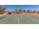 Outdoor basketball court with green surface, white lines, and hoops, ready for a fun game at 20539 W Terrace Ln, Buckeye, AZ 85396