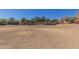 Expansive community park with shaded picnic areas, perfect for outdoor activities and recreation at 20539 W Terrace Ln, Buckeye, AZ 85396
