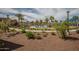 Beautiful community pool area with palm trees, blue lounge chairs, and lush landscaping at 20539 W Terrace Ln, Buckeye, AZ 85396