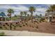 Attractive community pool area surrounded by palm trees, blue canopies and desert landscaping at 20539 W Terrace Ln, Buckeye, AZ 85396