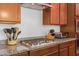 Kitchen close up with granite countertops, stainless steel appliances, and wooden cabinets at 21165 E Thornton Rd, Queen Creek, AZ 85142
