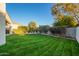 Large grassy backyard with manicured lawn, mature trees, and privacy fence at 3019 E Redfield Rd, Phoenix, AZ 85032