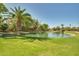 Community pond with lush greenery, ducks swimming and seating area under a palm tree at 3104 E Broadway Rd -- # 287, Mesa, AZ 85204