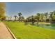 Scenic community pond with a wooden bridge, lush landscaping and palm trees at 3104 E Broadway Rd -- # 287, Mesa, AZ 85204