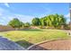 A spacious grassy backyard featuring mature trees and gravel border, providing ample space for outdoor activities at 3446 E Knoll St, Mesa, AZ 85213