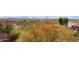Lush backyard with mature desert trees and bushes, providing privacy and a serene natural setting at 34714 N 21St Ln, Phoenix, AZ 85086
