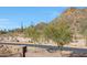 Scenic desert landscape with native trees and cacti alongside a quiet residential street at 34714 N 21St Ln, Phoenix, AZ 85086