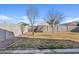 Spacious backyard featuring a grassy lawn, two trees, and a block wall fence at 3654 E Henson St, San Tan Valley, AZ 85140