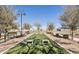 A beautiful community area with park benches, trees, grass and concrete benches on a clear sunny day at 3654 E Henson St, San Tan Valley, AZ 85140