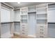 The closet features shelving and drawers for storage at 39877 N 107Th Way, Scottsdale, AZ 85262