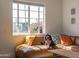 Sun-drenched living space featuring a comfortable sectional sofa and a charming furry companion at 406 W Coolidge St, Phoenix, AZ 85013