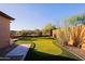 Backyard putting green with artificial turf, perfect for practice, with privacy landscaping at 6044 E Hodges St, Cave Creek, AZ 85331