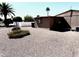 Low-maintenance backyard with gravel landscaping, mature trees, and fenced perimeter for added privacy at 805 S 82Nd Pl, Mesa, AZ 85208