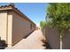 Gravel area on the side of the house with partial tree covering at 9763 W Butler Dr, Peoria, AZ 85345