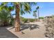 Landscaped backyard with gravel, mature palms, shrubbery, and shade at 16913 W Cortaro Point Dr, Surprise, AZ 85387