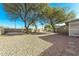 Expansive backyard showcasing desert landscaping with mature trees at 1847 Leisure World --, Mesa, AZ 85206