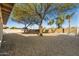 Spacious backyard featuring desert landscaping and mature shade trees at 1847 Leisure World --, Mesa, AZ 85206