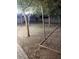 Large backyard features trees, landscaping, and plenty of space for outdoor activities at 2045 W Orange Dr, Phoenix, AZ 85015