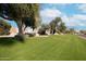 Expansive green lawn featuring mature trees and manicured landscaping at 3031 N Civic Center Plz # 205, Scottsdale, AZ 85251